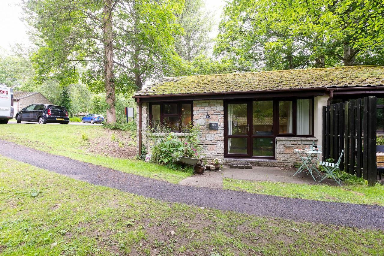 Uny Lelant Cosy Woodland Home المظهر الخارجي الصورة
